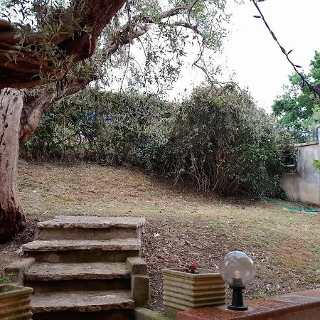 Apartamento I Gufetti 2 San Savino  Exterior foto
