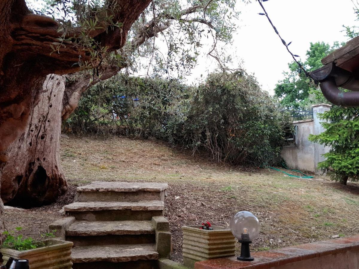 Apartamento I Gufetti 2 San Savino  Exterior foto